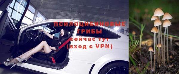 амф Горнозаводск